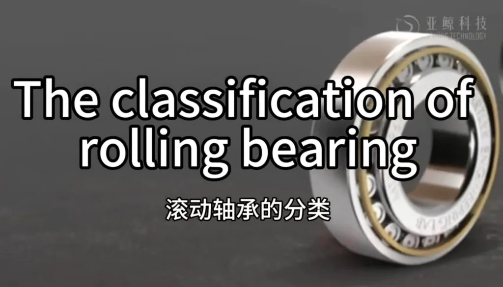 classification-of-rolling-bearing