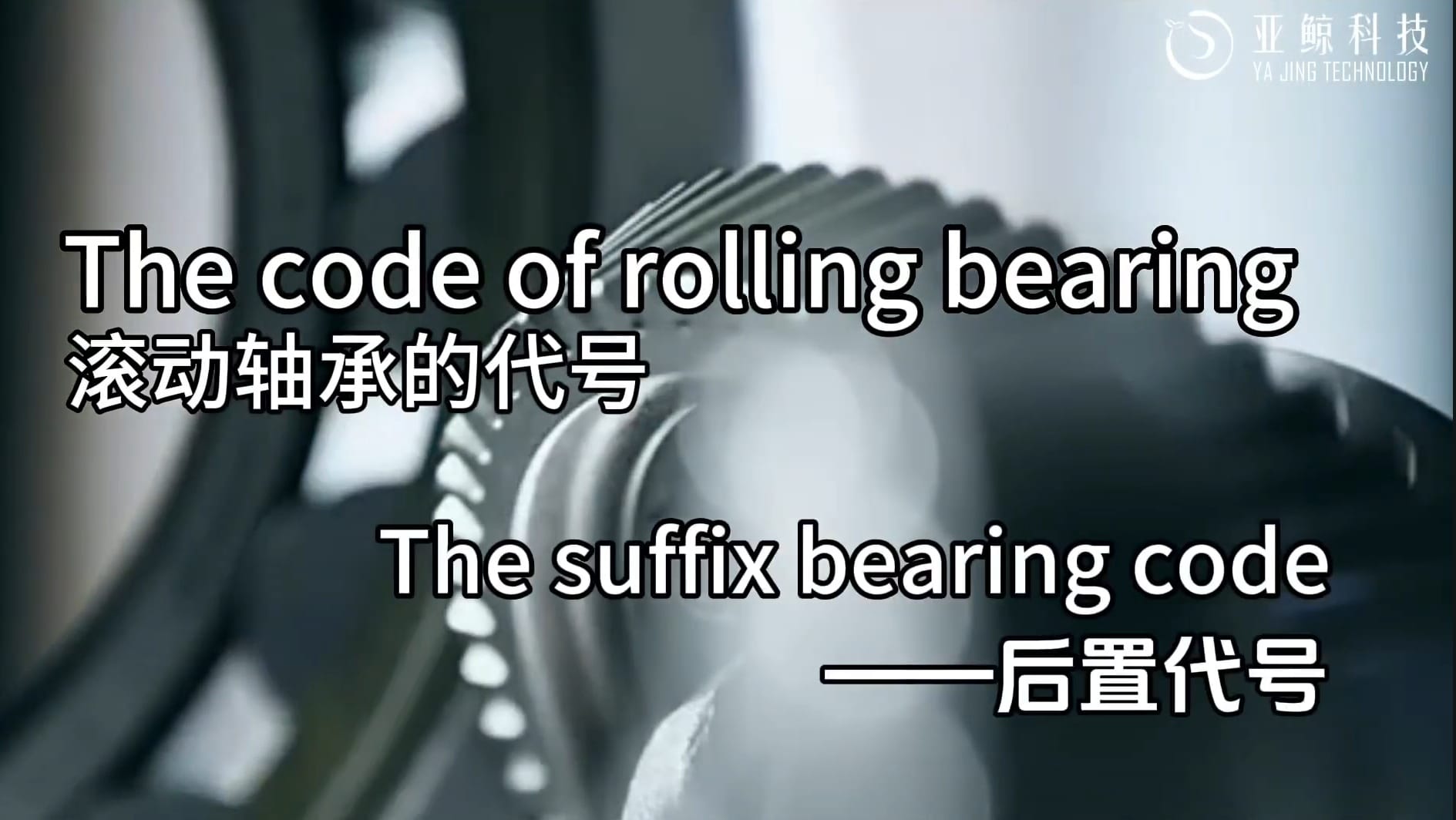 suffix-code-of-bearing