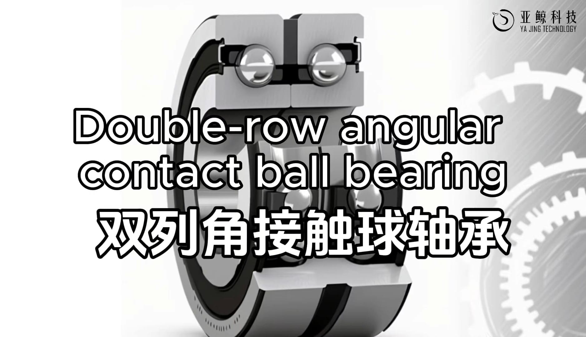 Double-row-angular-contact-ball-bearing