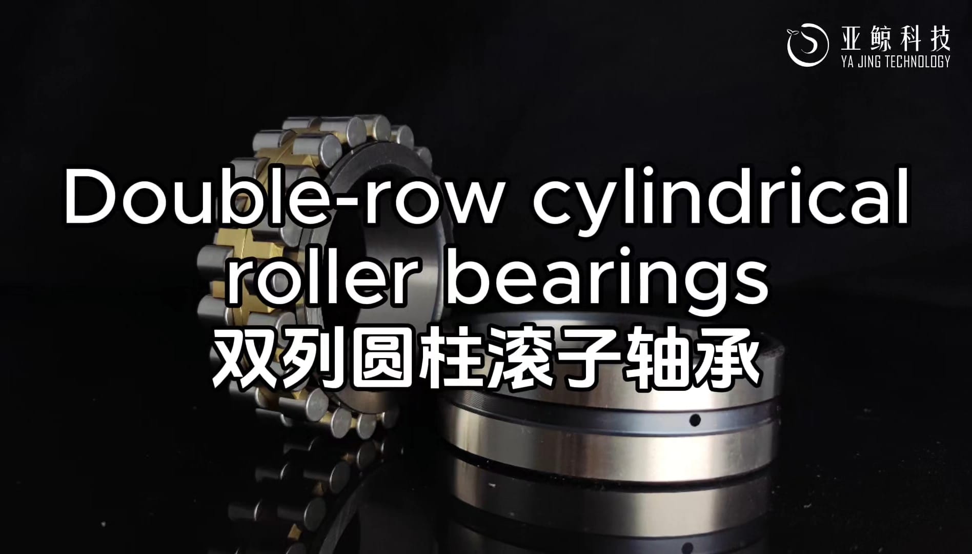Double-row-cylindrical-roller-bearing