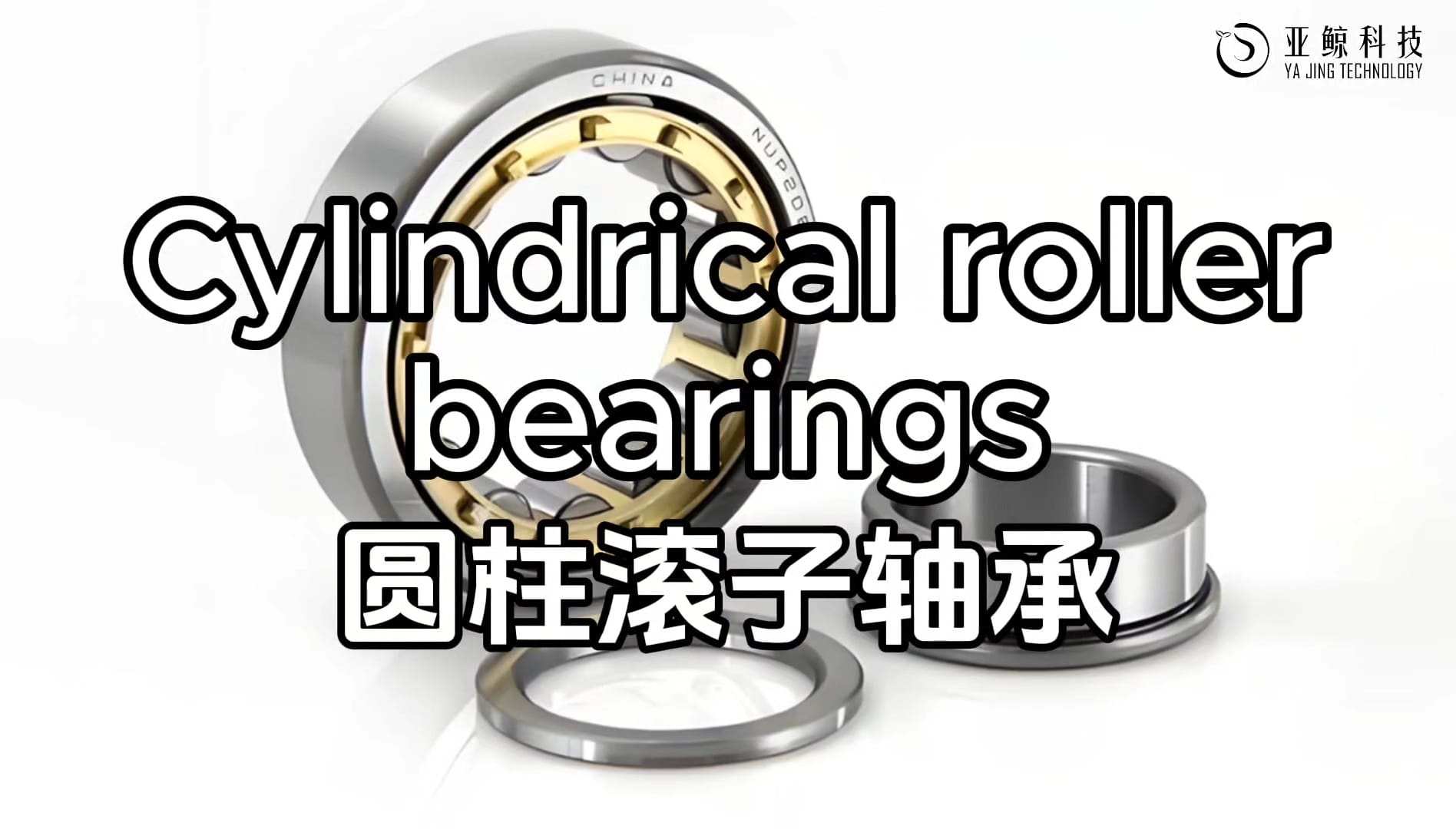 cylindrical roller bearing
