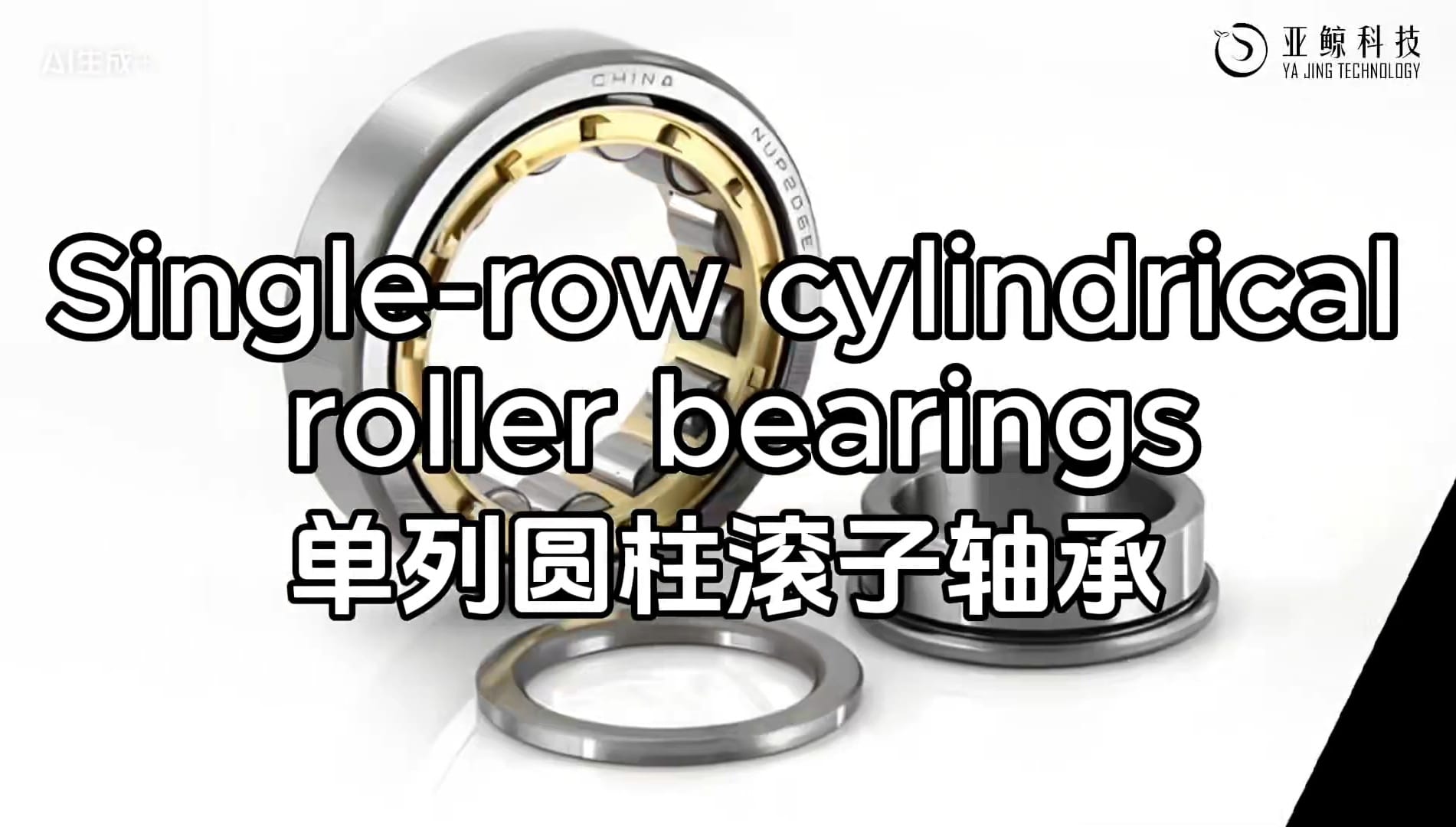 single-row-cylindrical-roller-bearing
